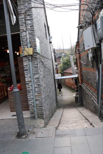 这样的巷子在老城区随处可见 如果时间来得及 真的想每一条小巷都走走