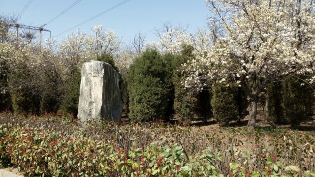 文博森林公园门票,郑州文博森林公园攻略/地址/图片/门票价格【携程