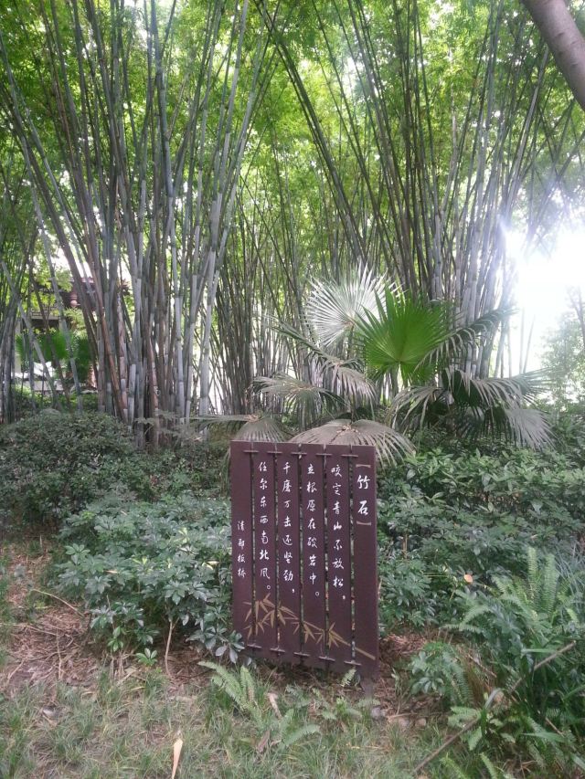 巴蜀行之九寨成都