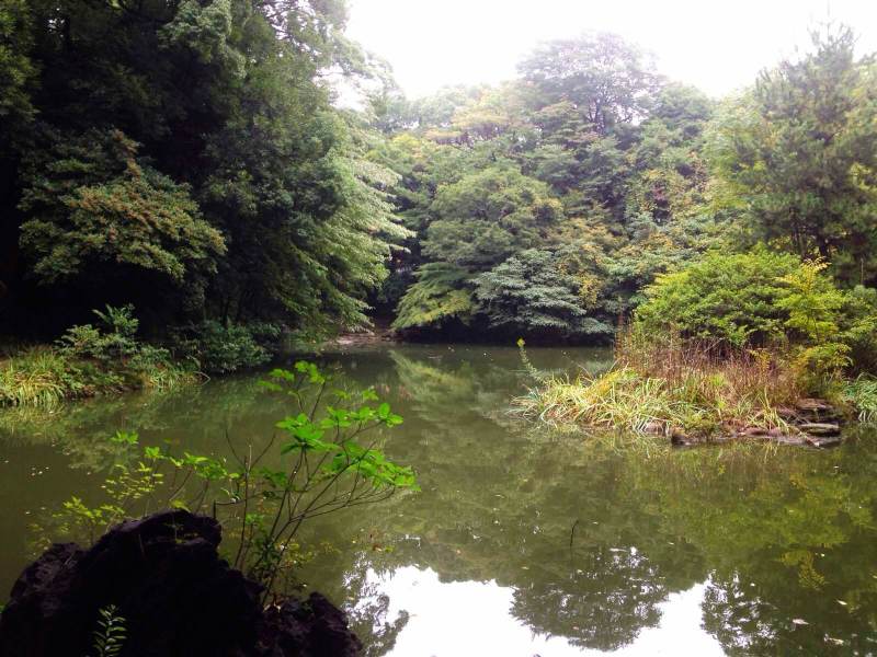 三四郎池 东京大学