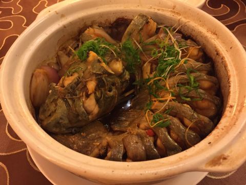 我和毛姐姐的6天5晚桂林阳朔龙脊自由行攻略