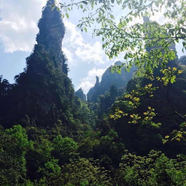 采药老人