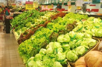 【携程攻略】巴厘岛家乐福周边住宿\/宾馆,家乐