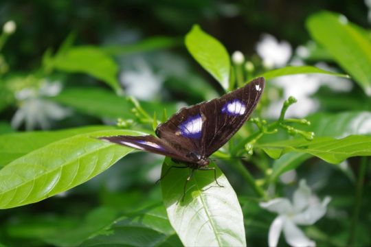城市之旅——吉隆坡欢乐亲子游