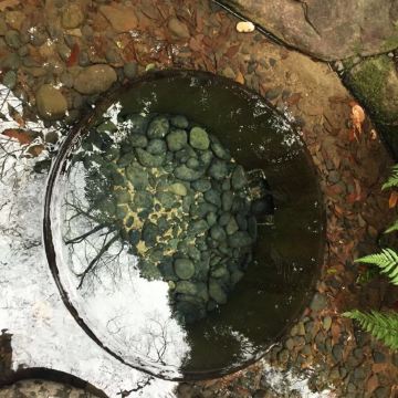 那个走了一大圈才看到的卖点,原来是个小水井.