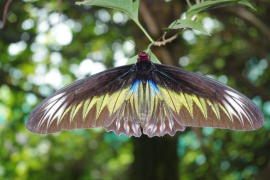 城市之旅——吉隆坡欢乐亲子游