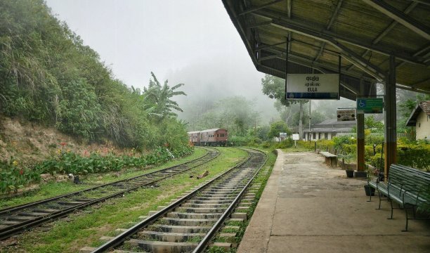 目送载我们的列车远去. 埃勒