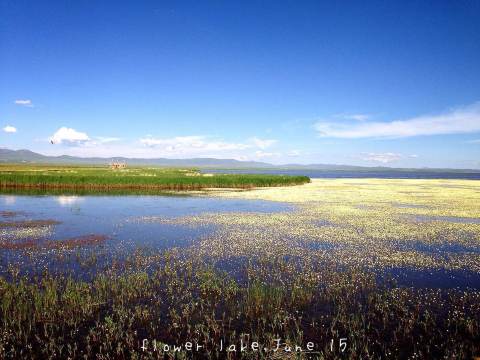 若尔盖花湖