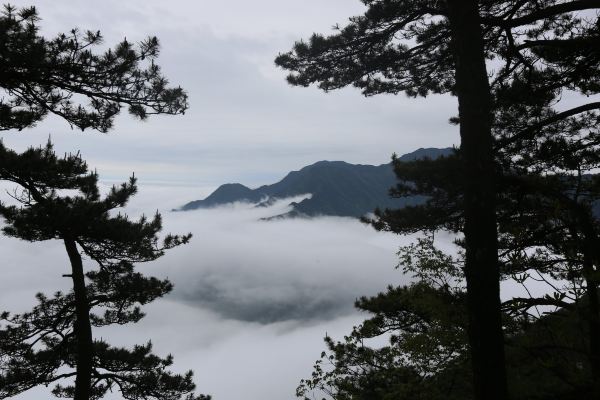 五老峰(五老峰景區) 天池寺門前兩個水池就是大天池.