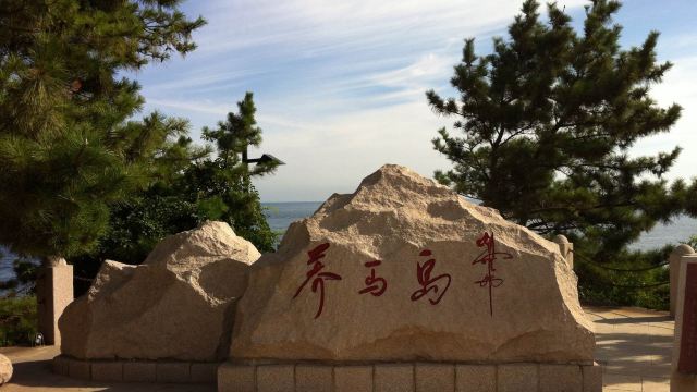 5分 (156條點評) 166 養馬島地處煙臺市牟平區北部,是一個面積約10