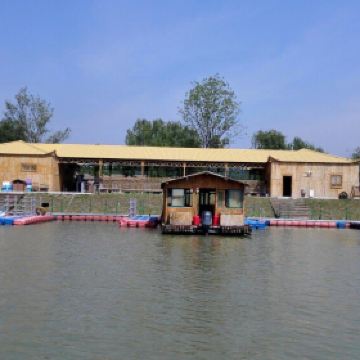 泗洪洪泽湖湿地公园_泗洪湿地公园门票收入