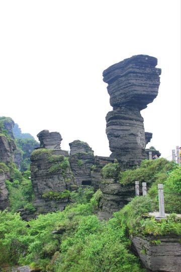 蘑菇石 梵净山