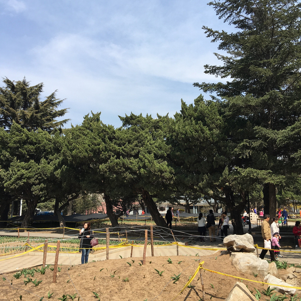 勞動公園 一直記得大連有個足球的地方,原來是勞動公園 老根山莊(解放