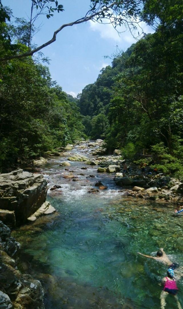 英德锦潭水库蝴蝶谷