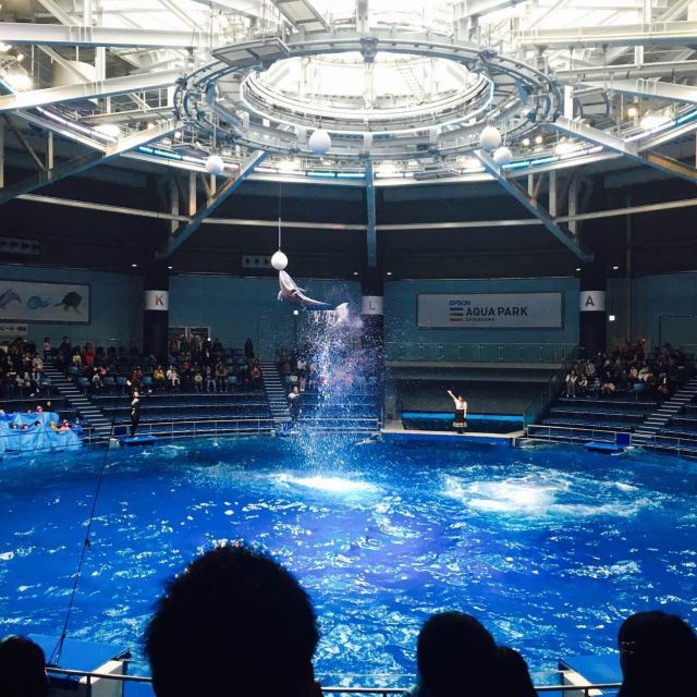 品川爱普生水族馆