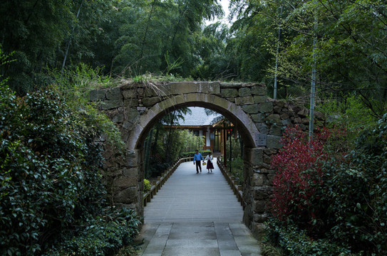 舞龙什么成语_舞龙简笔画(3)