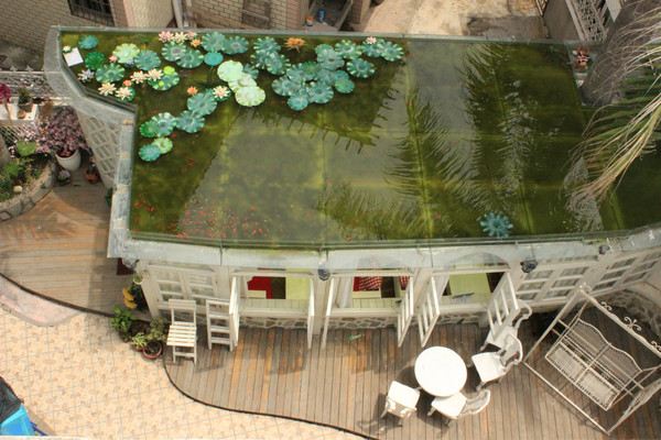 居然能在楼顶上养鱼,好神奇.终年不需要换水吗