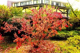 工人纠察队总指挥部旧址门票,上海工人纠察队