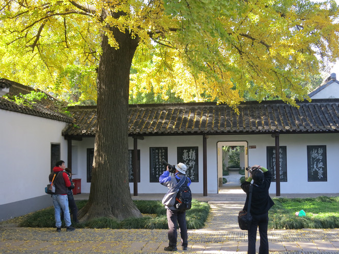 绘炙人口_炙阳神光立绘去衣