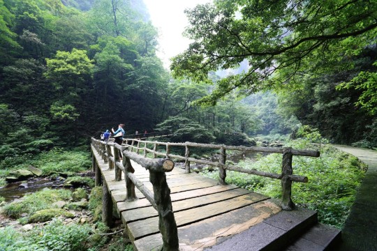 徒步金鞭溪大峡谷 - 武陵源游记攻略【携程攻略】