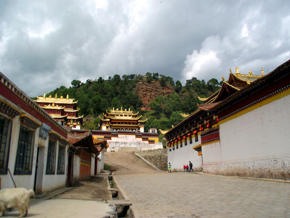 也是藏传佛教的最高学府,甘南州最重要的旅游胜地之一因天下无贼在此