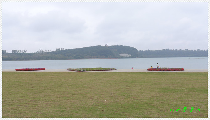 春风桃李花开日 信马由缰悠游行 广州 珠海 湛江
