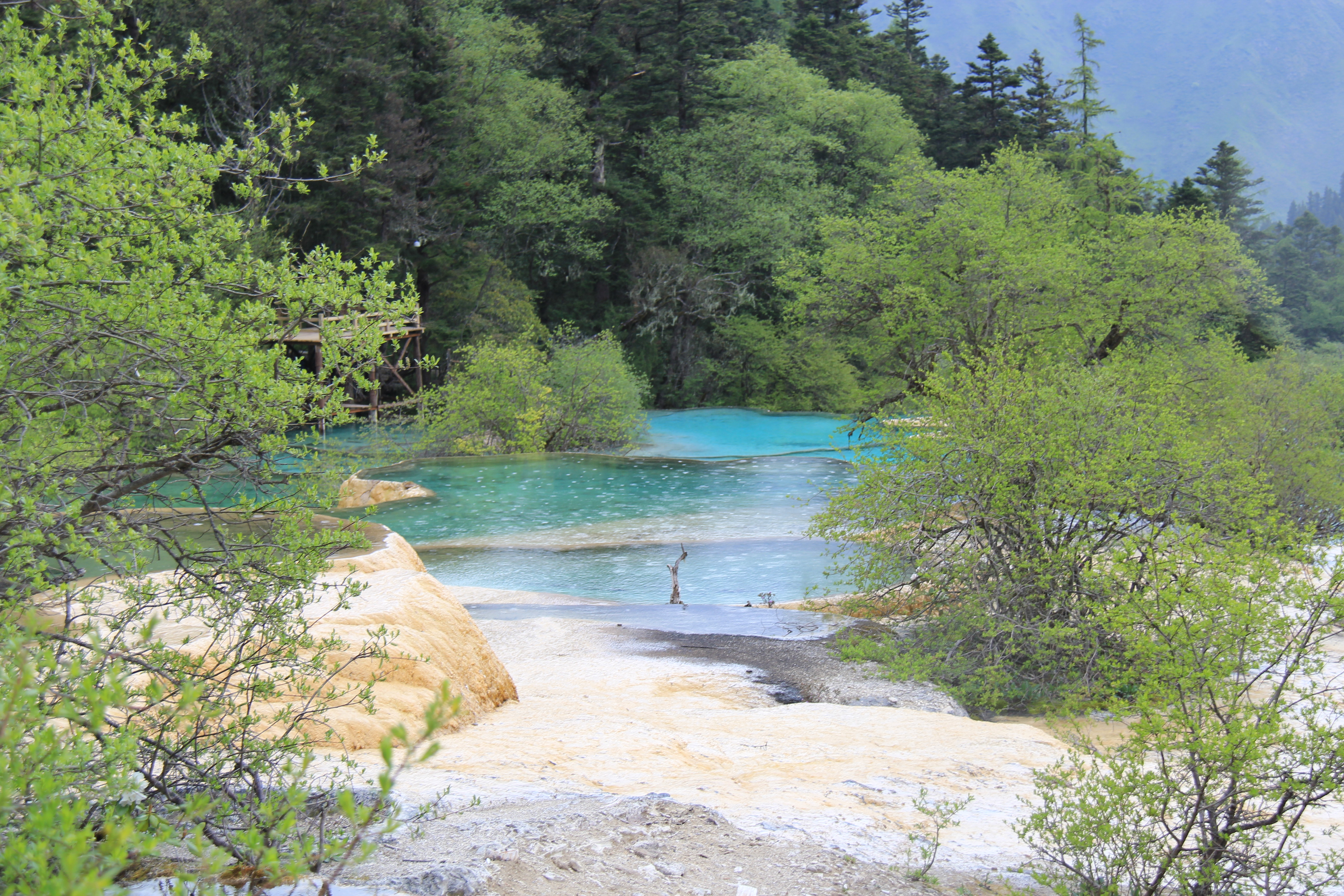 再沿黄龙沟步行下山(约3公里),沿途观金沙铺地,洗身洞,盆景池,飞瀑流