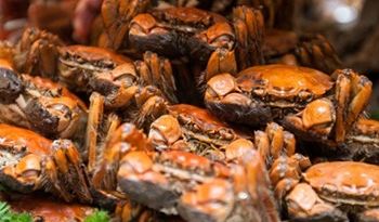 长春和合会馆汉诺威德国啤酒花园主题餐厅电话