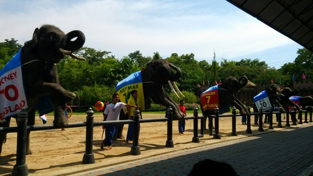 泰国曼谷 三攀象乐园 ลานแสดงช้างและฟาร์มจระเข้สามพราน