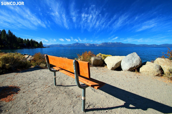  Discover the Best Lake Tahoe Cabin Rentals Pet Friendly for Your Perfect Getaway