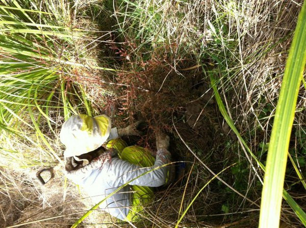 边做义工边旅行之8月新西兰环保义工4日体验