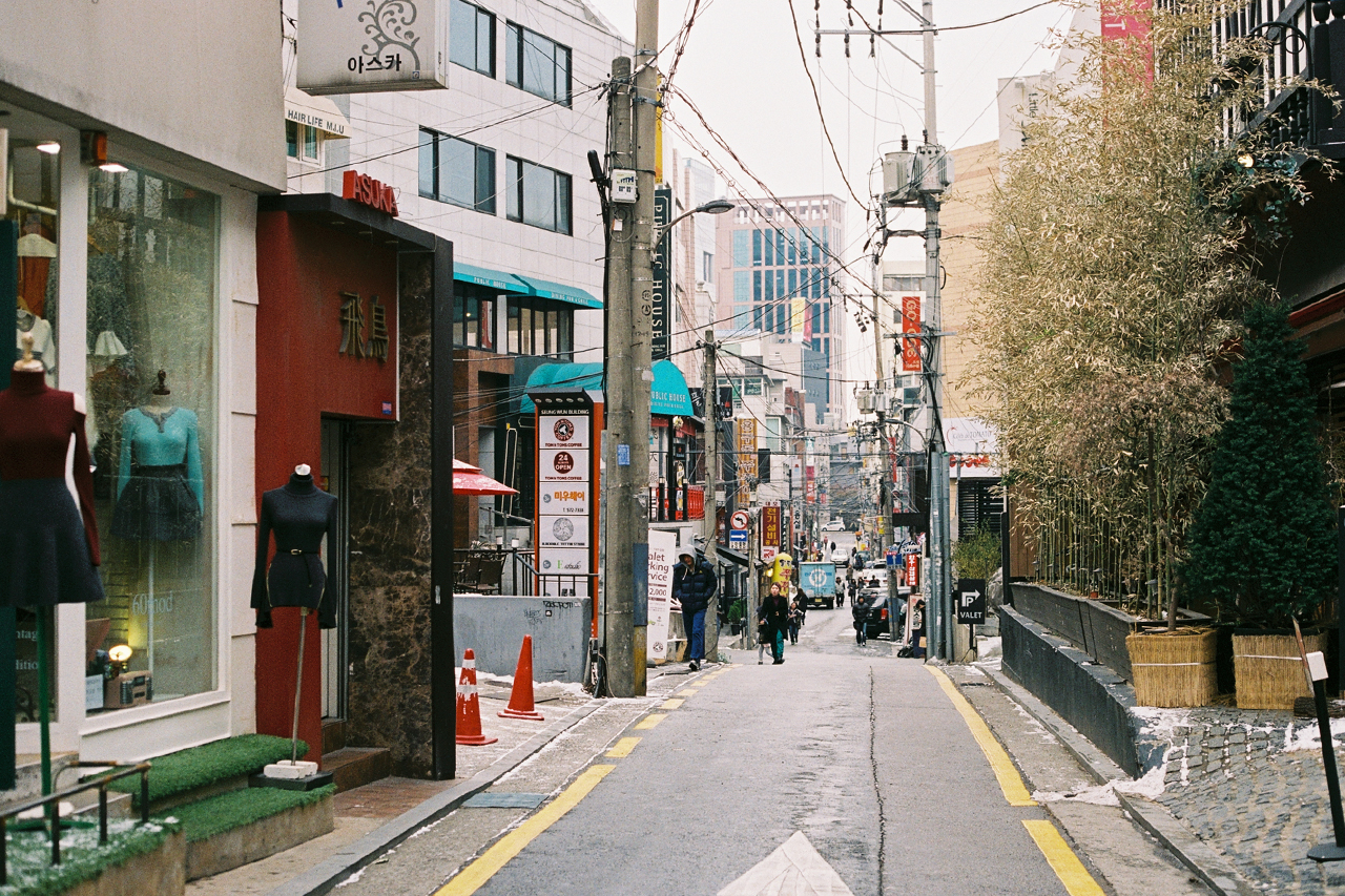 韩国林荫路图片