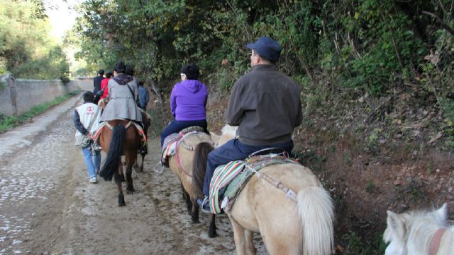 丽江拉市海观鹤山庄马场一日游