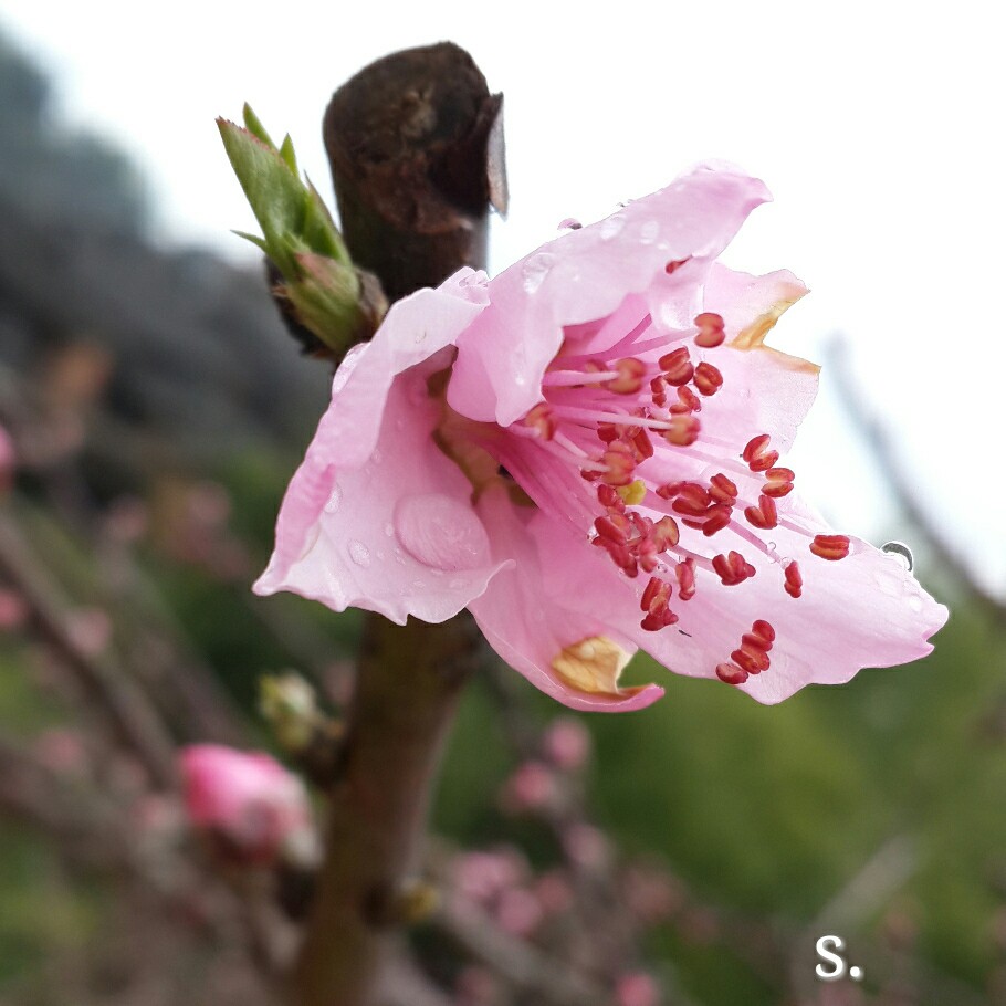 天宝岩自然保护区