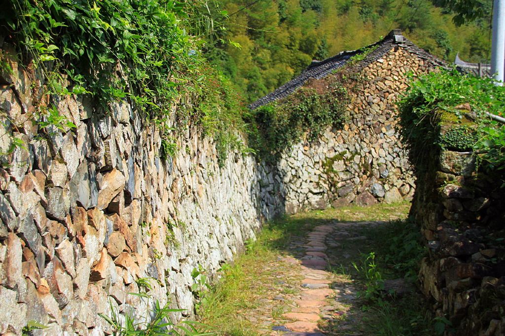 浙南记游-06:古村剪影—坐山望溪的徐岙底村