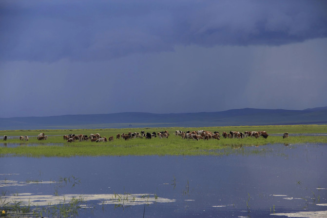 额尔古纳河右岸全文免费收听 870495fdc8604e458220c41b6e676305_C_671_10000_Q90.jpg