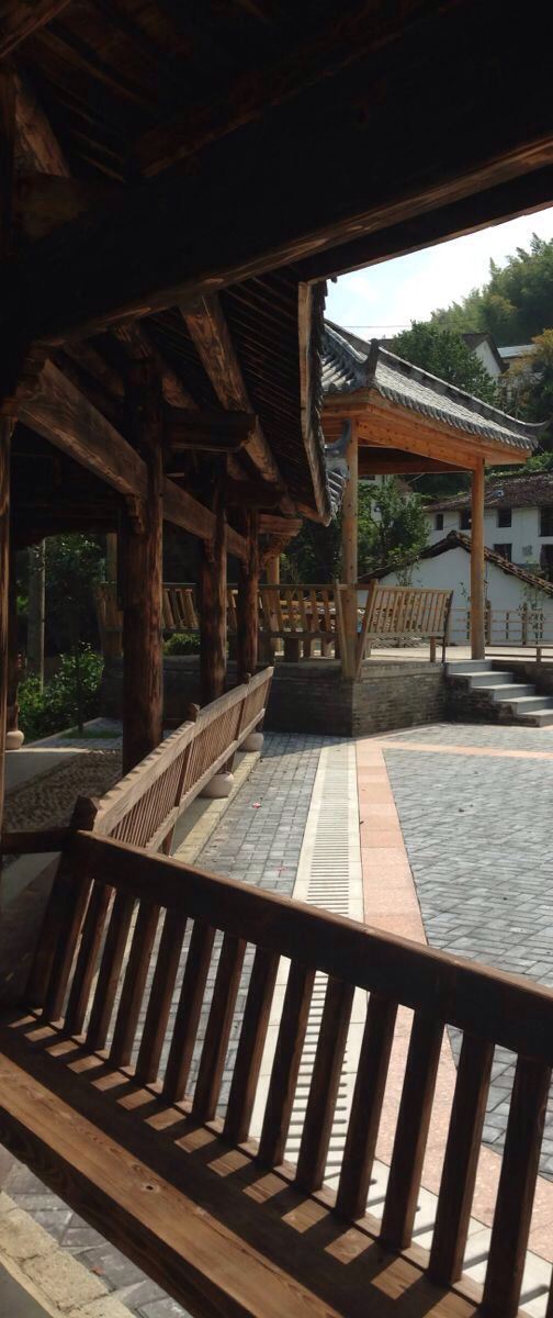 丽水龙泉市兰巨乡炉岙村