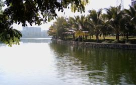 西双版纳白象湖天气预报,历史气温,旅游指数,白