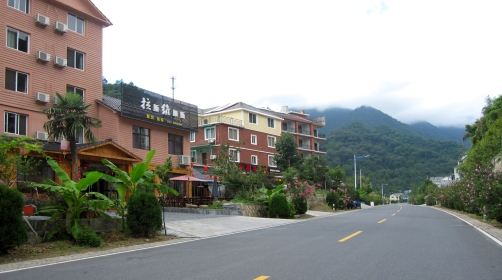天目山镇天目村