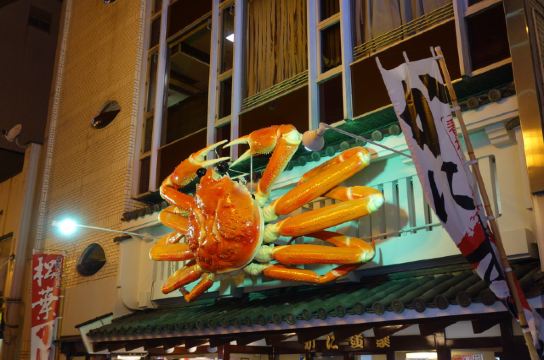 2013深秋,huihui的日本全景游