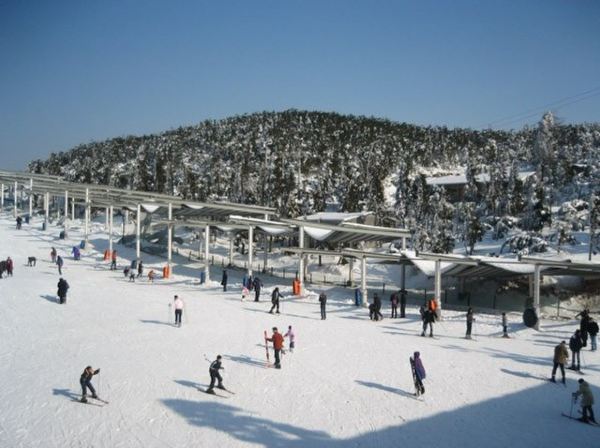 93322b76159643abba037ec4282bba3c_R_600_10000.jpg