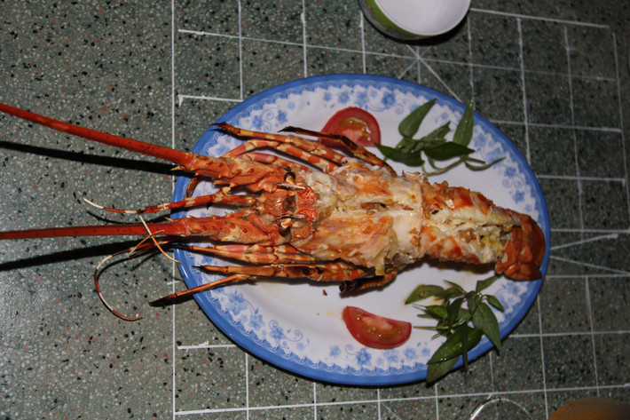 温哥华市内观光亲子游攻略 含签证事宜与美食