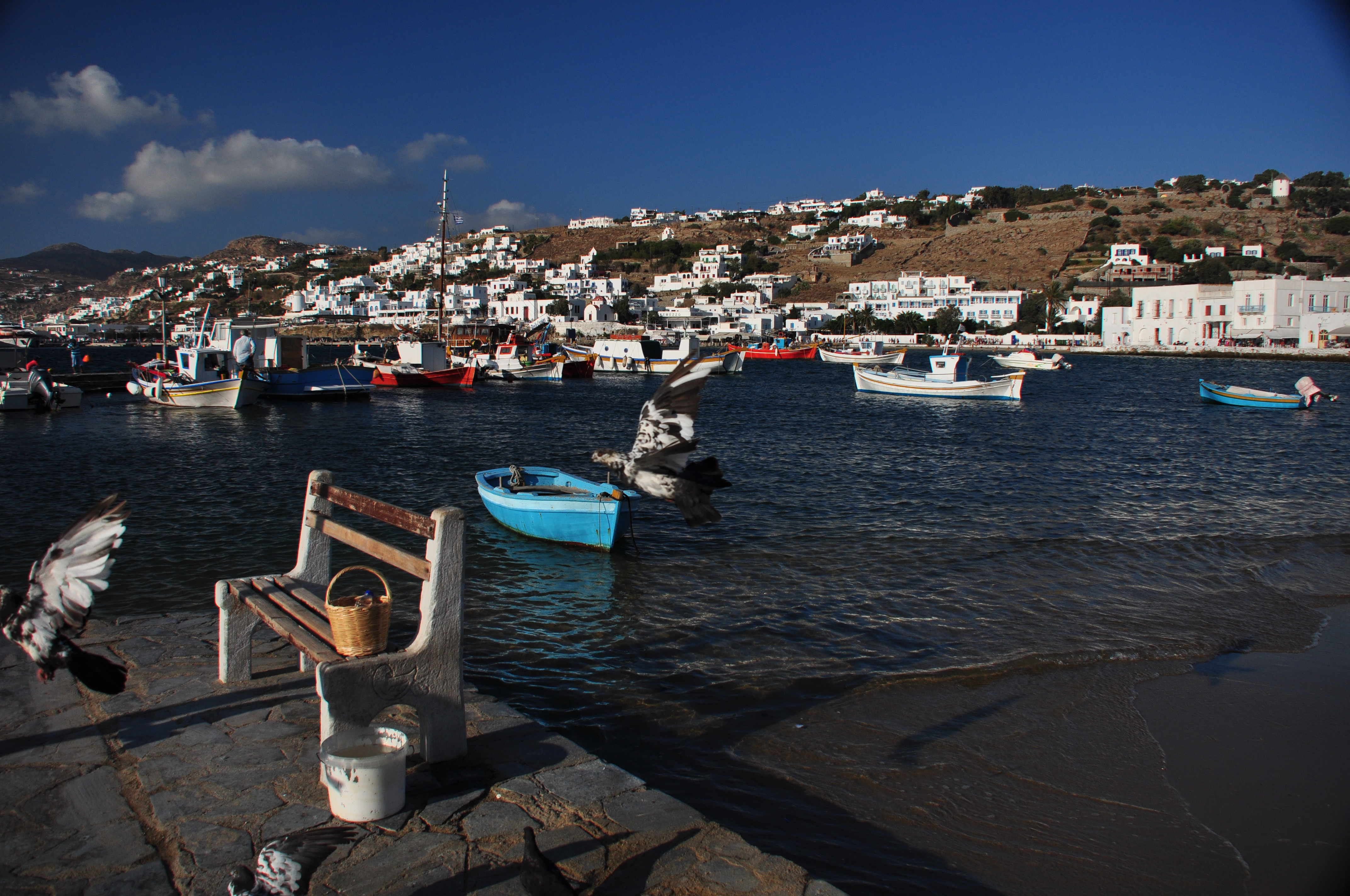 海湾,鸽子在飞舞 米克诺斯岛