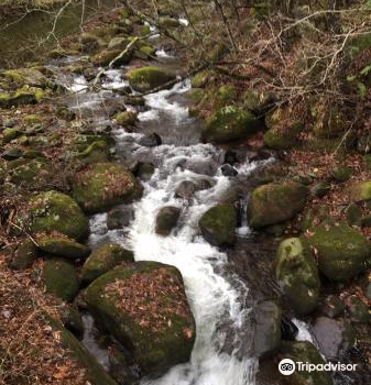 釜石市旅游攻略 2月釜石市 Kamaishi 自助游 周边自驾 出游 自由行 游玩攻略 携程攻略