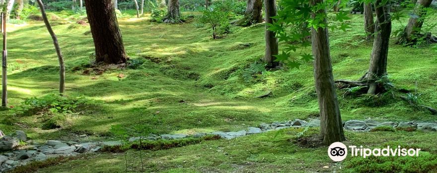 野洲市旅游攻略 4月野洲市 Yasu 自助游 周边自驾 出游 自由行 游玩攻略 携程攻略